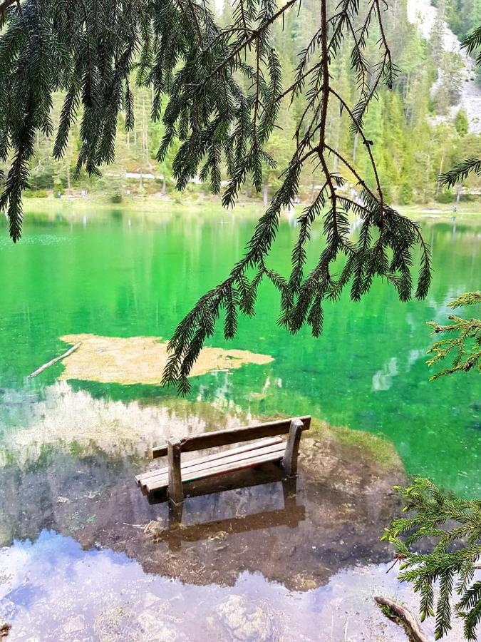 Auszeit Steiraland 6 Mit Ueberdachter Terasse Schoenen Garten Und Kostenlosen Parkplatz Леобен Екстериор снимка